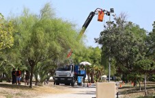 Elda sacar&aacute; adelante la contrata de jardines con un presupuesto anual de un mill&oacute;n de euros