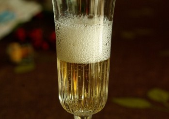 La elaboraci&oacute;n de los vinos espumosos