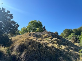 Temperaturas en descenso