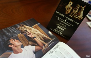 Un calendario a favor de la adopci&oacute;n y contra el abandono de las mascotas
