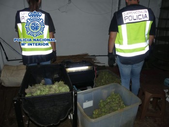 La Polic&iacute;a Nacional detiene a cinco personas por cultivo de marihuana y distribuci&oacute;n al por mayor