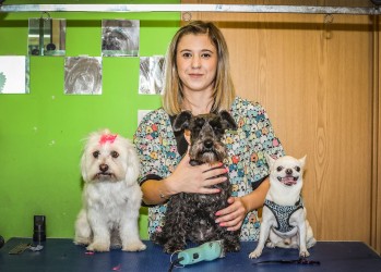 Ornic&aacute;n, la tienda de mascotas especializada en ornitolog&iacute;a