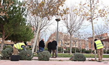 Elda inicia un nuevo Plan de Empleo que da trabajo a 19 personas durante tres meses