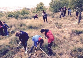  Un grupo de escolares completa la reforestaci&oacute;n de la zona del Trinitario