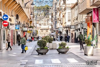 El Partido Popular denuncia la peatonalizaci&oacute;n improvisada y perjudicial de la calle Antonino Vera