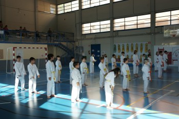 Elda clausura el 29&ordm; Campeonato interior de katas y kumite