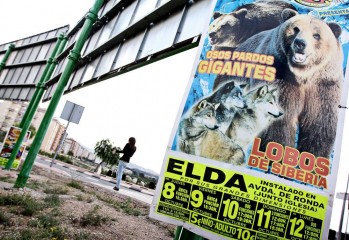 Un circo con animales salvajes llega a Elda d&iacute;as despu&eacute;s de que el Ayuntamiento apruebe su futura prohibici&oacute;n