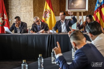 El pleno aprueba suspender temporalmente las licencias de instalaci&oacute;n de plantas solares