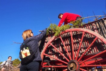 Elda cumple con la tradicional recogida de le&ntilde;a de San Ant&oacute;n pese al intenso fr&iacute;o