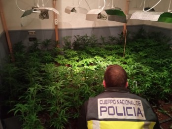 La Polic&iacute;a Nacional detiene a siete hombres tras desmantelar varias plantaciones de marihuana