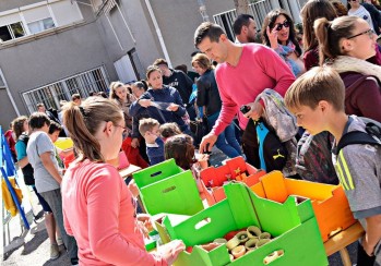 El colegio Juan Rico y Amat realiza su segundo Mercadillo Solidario en beneficio de Aspanion
