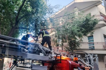 Cae otra rama de un &aacute;rbol en la Plaza de Baix