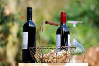 15 t&eacute;rminos en franc&eacute;s que deber&iacute;as conocer en el mundo del vino