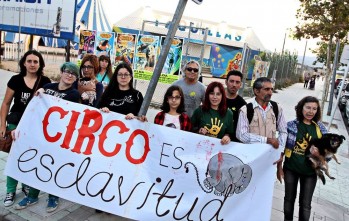Vuelve el circo con animales a Elda mientras el equipo de gobierno trabaja en su prohibici&oacute;n