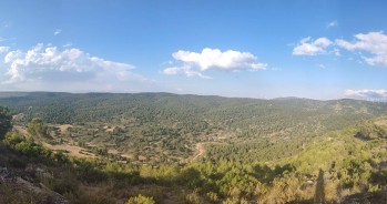 Temperaturas altas