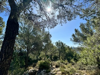 Temperaturas en descenso a partir del mi&eacute;rcoles
