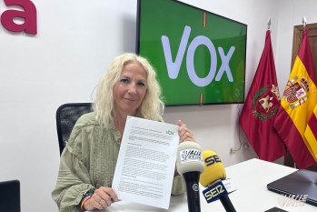 Vox Elda presenta una moci&oacute;n para instalar c&aacute;maras en Las 300 y la plaza de San Pascual