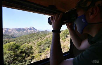 Petrer organiza un voluntariado medioambiental para este verano