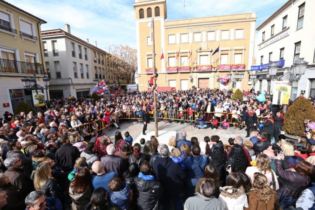 Cientos de eldenses cumplen con la tradición de las cucañas y el porrate por San Antón Cientos de eldenses cumplen con la tradición de las cucañas y el porrate por San Antón