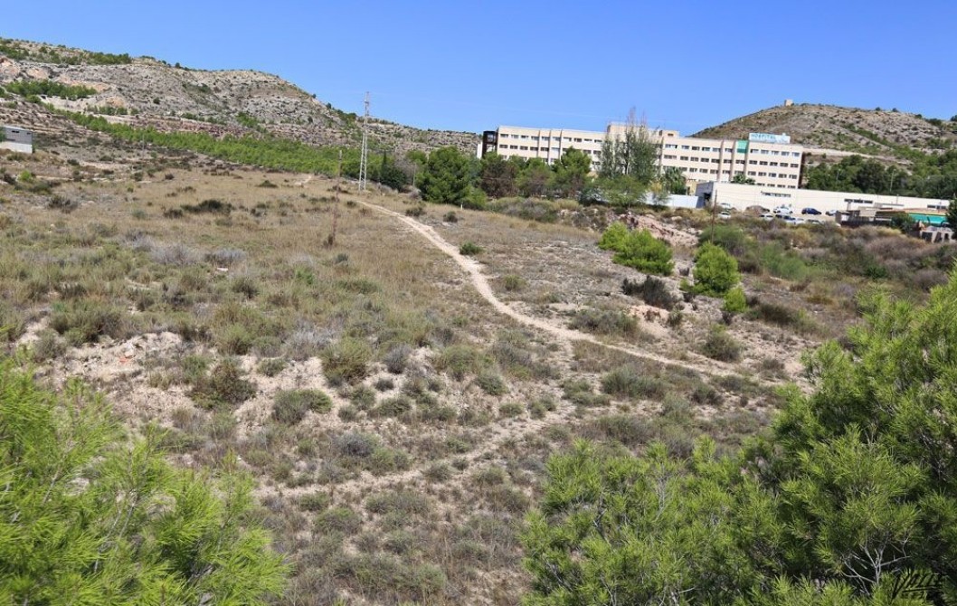 AMFI propone comprar los terrenos para construir el aparcamiento del Hospital de Elda AMFI propone comprar los terrenos para construir el aparcamiento del Hospital de Elda