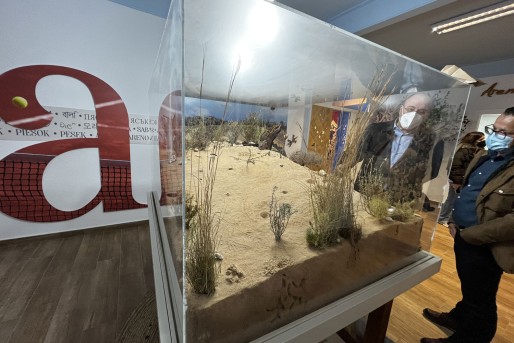 El Arenal llega a la oficina de Turismo de Petrer