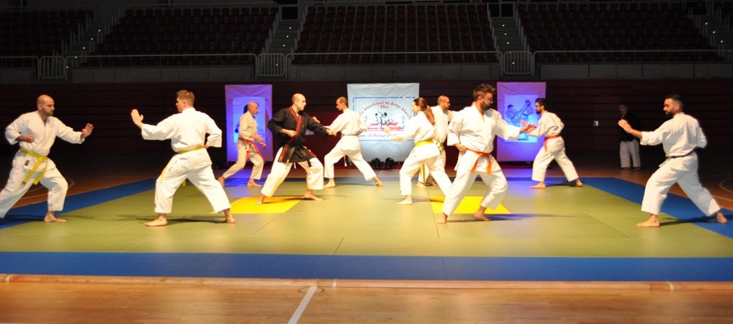 La Escuela Municipal de Artes Marciales despidió el curso con una exhibición La Escuela Municipal de Artes Marciales despidió el curso con una exhibición