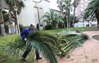 El PP apremia al gobierno a sacar la licitaci&oacute;n del mantenimiento de jardines "pues est&aacute;n descuidados"