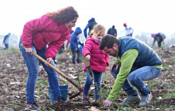 Unas 200 personas celebran un D&iacute;a del &Aacute;rbol con mucho viento en el monte Bol&oacute;n