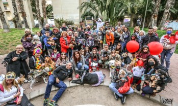 Carnaval canino en Elda