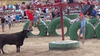 Fallece un joven de Petrer por la cornada de una vaquilla en las fiestas de Pinoso