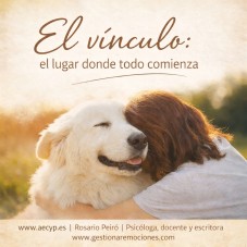 El v&iacute;nculo: el lugar donde todo comienza