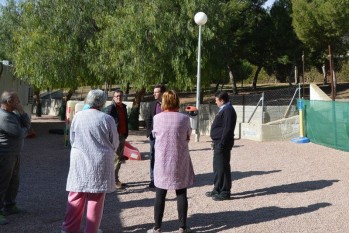 Una plaga de procesionaria obliga a Servicios P&uacute;blicos a intervenir con car&aacute;cter urgente en tres colegios de Elda