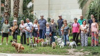 Un grupo de vecinos propone acotar un parque canino en la antigua Cruz de los Ca&iacute;dos