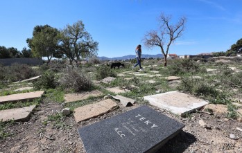 Protecci&oacute;n Animal estudia la creaci&oacute;n de un cementerio para mascotas en Elda
