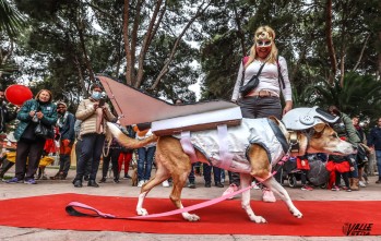 El grupo &ldquo;Amigos del perro&rdquo; celebra un desfile canino este domingo