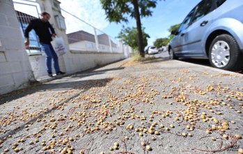 M&uacute;ltiples quejas por la falta de limpieza del pol&iacute;gono industrial Campo Alto