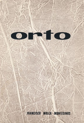 Orto