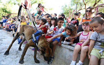 Lobo, el perro polic&iacute;a, visita los colegios de Elda para acercar a los ni&ntilde;os la Polic&iacute;a Local