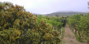 D&iacute;as con temperaturas suaves