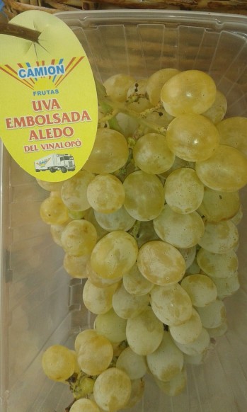 D.O. Uva embolsada del Vinalop&oacute;