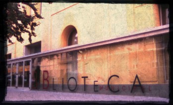 No dejemos arder las bibliotecas