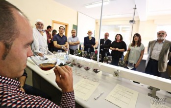 El Centro de FP Valle de Elda crea expertos en el mundo del vino