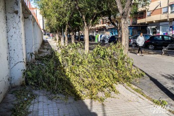 El viento provoca numerosos incidentes
