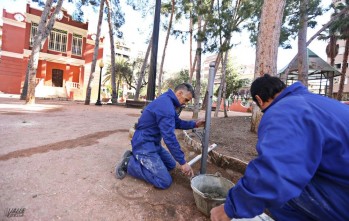 Comienza la recuperaci&oacute;n del Jard&iacute;n de la M&uacute;sica 