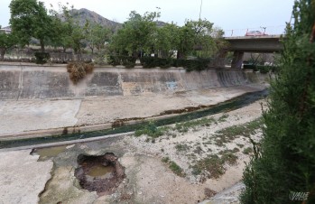 La dejadez del cauce del r&iacute;o Vinalop&oacute;