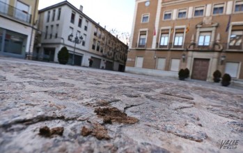 Por evitar una multa hay quien "recoge hasta con la mano las cacas de sus perros" seg&uacute;n la edil de Salud