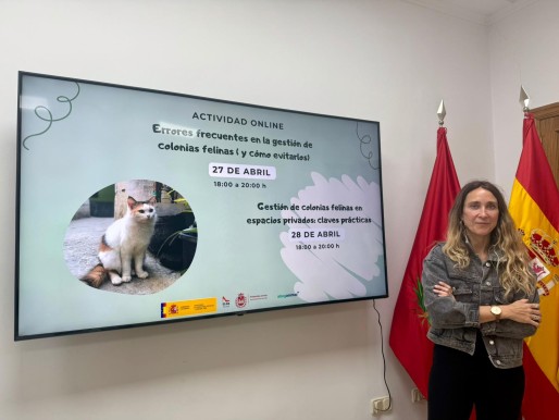 Protecci&oacute;n animal de Elda organiza dos cursos online para aprender sobre la gesti&oacute;n de las colonias felinas