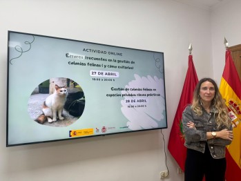 Protecci&oacute;n animal de Elda organiza dos cursos online para aprender sobre la gesti&oacute;n de las colonias felinas