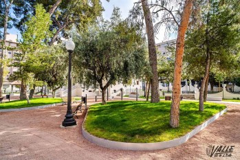 Elda y Petrer cierran parques, jardines e instalaciones deportivas por el viento