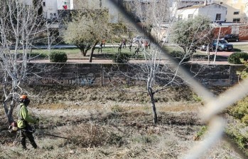 Petrer limpia la Rambla dels Molins y aparecen toneladas de pl&aacute;stico